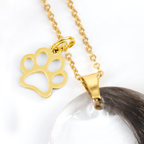 Charm "Pfote" (gold-farbend)